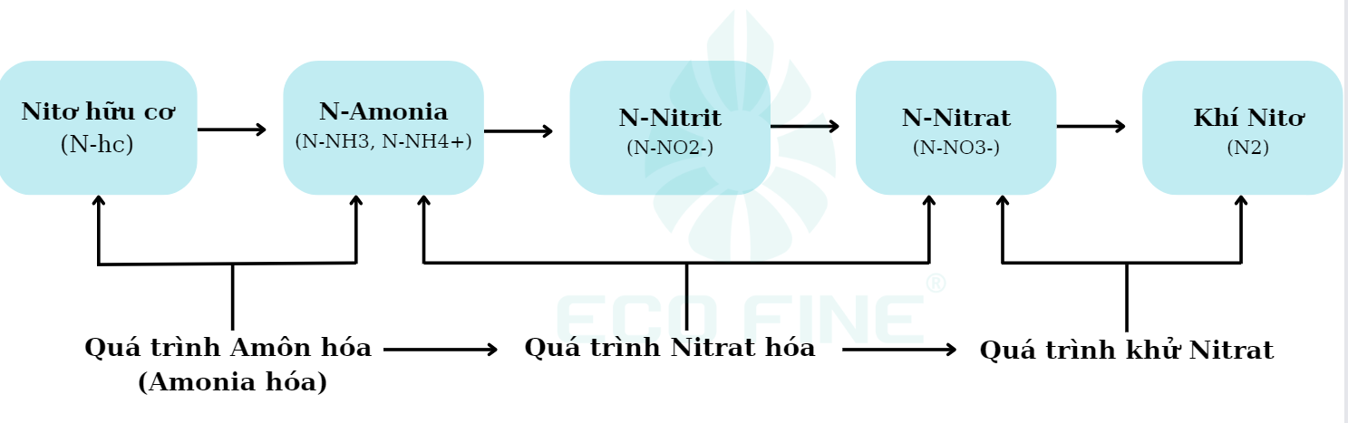 Ảnh chụp màn hình 2023-12-12 095456