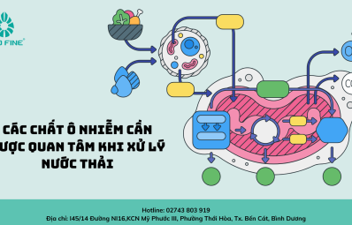 Các chất ô nhiễm cần được quan tâm khi xử lý nước thải