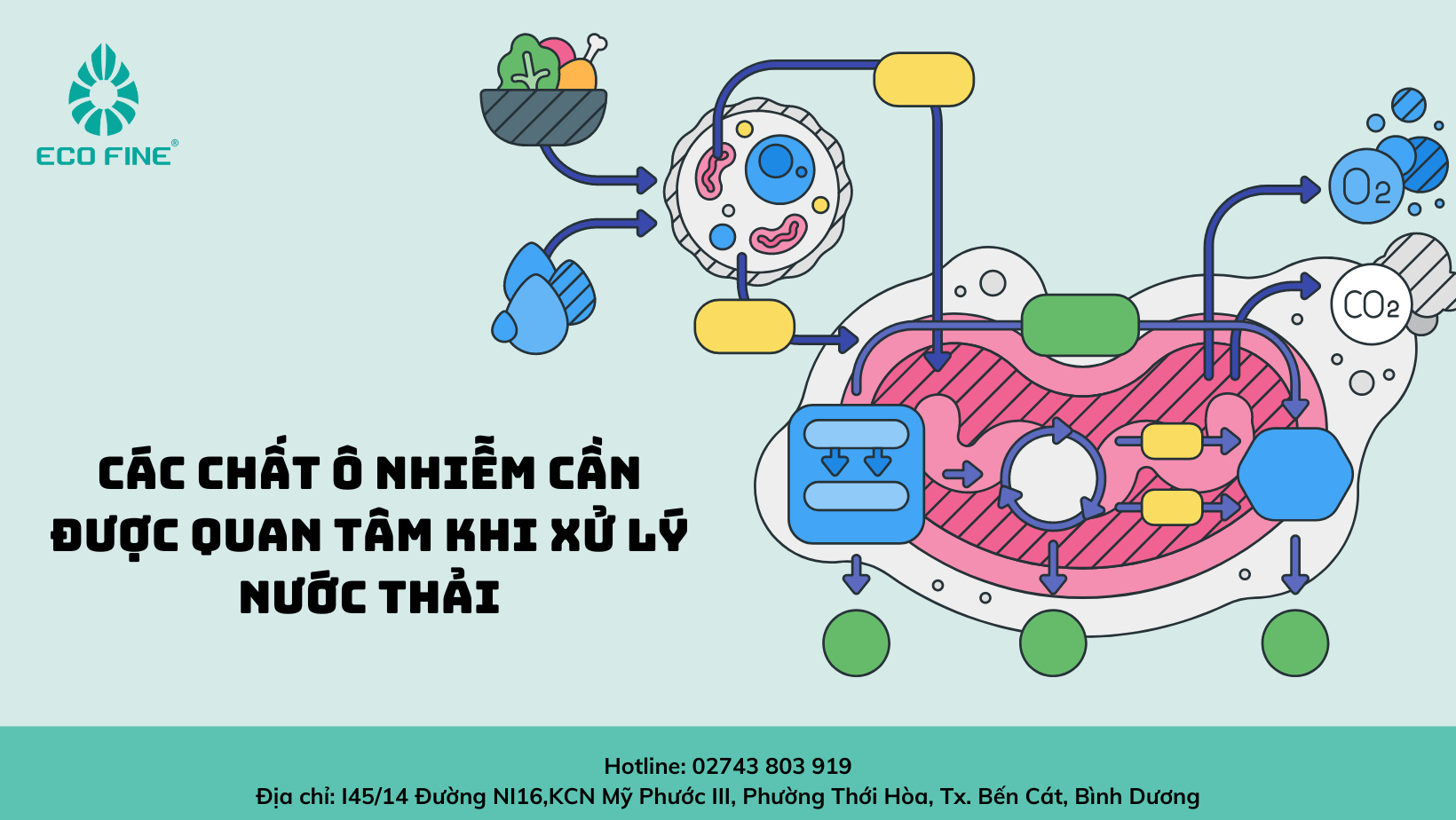 Các chất ô nhiễm cần được quan tâm khi xử lý nước thải