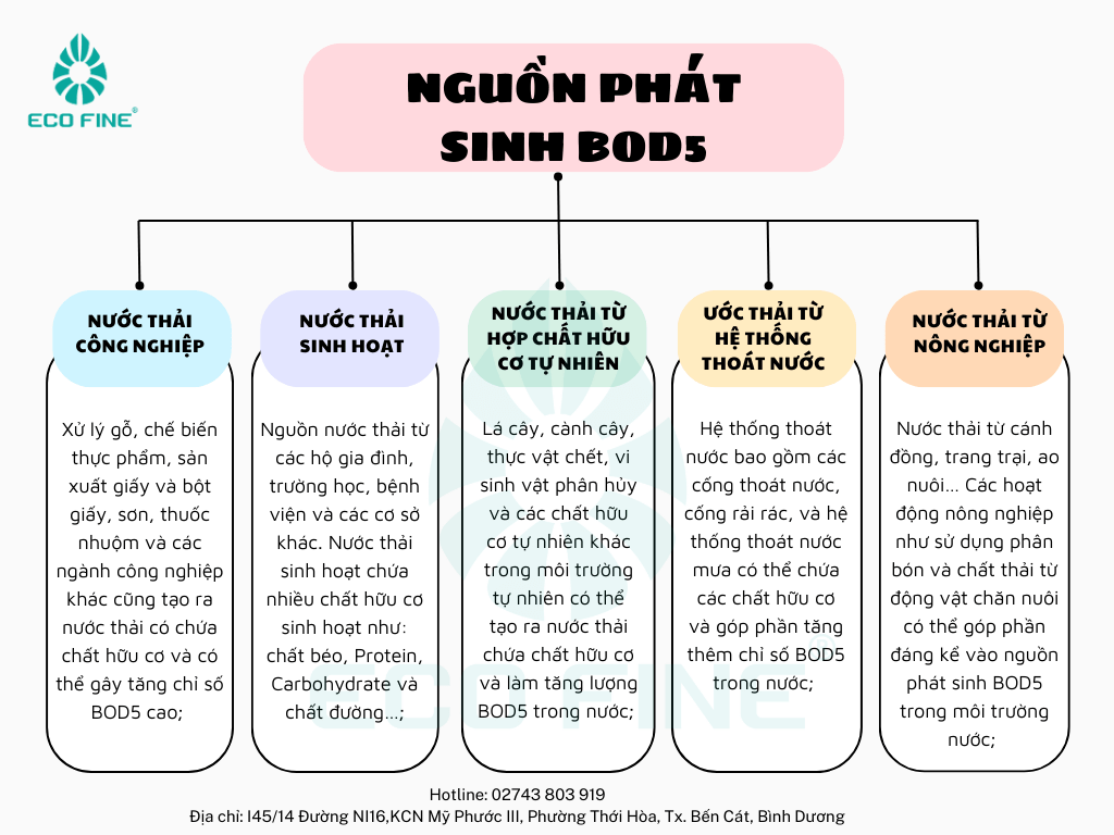 INGLES-min (1)