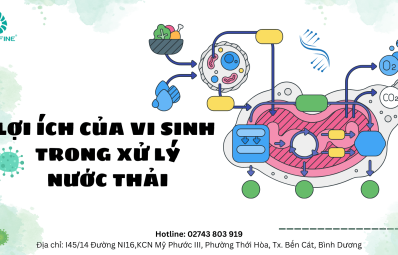 Lợi ích khi sử dụng vi sinh vật trong xử lý nước thải