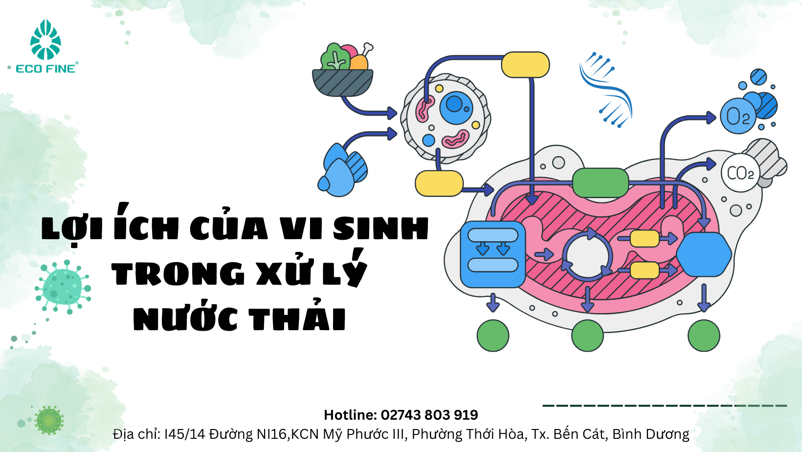 Lợi ích khi sử dụng vi sinh vật trong xử lý nước thải