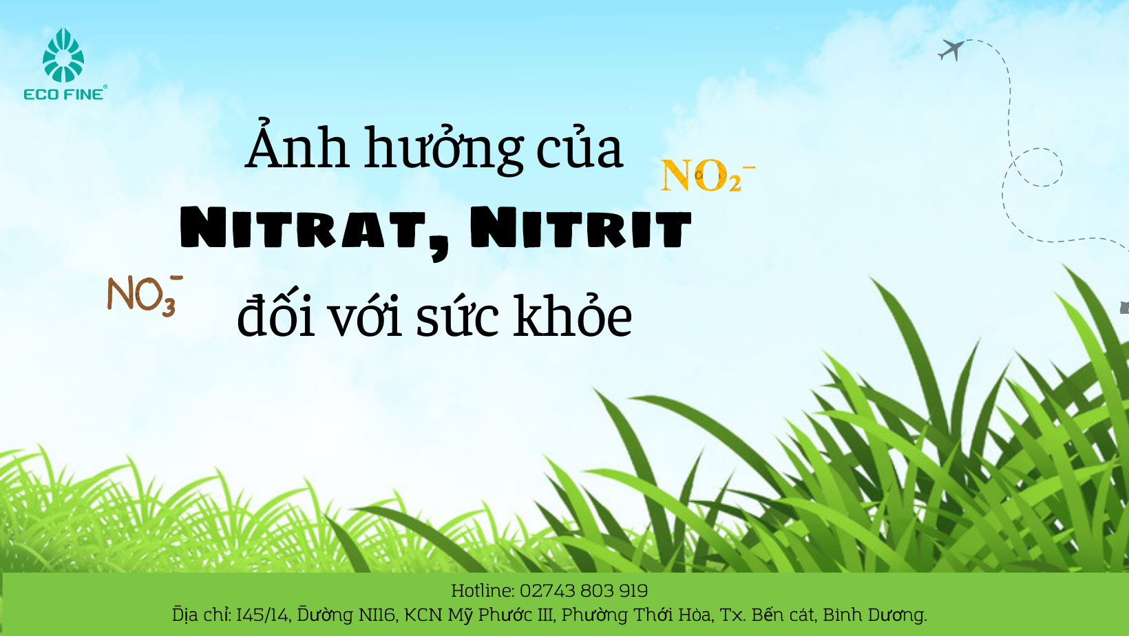 Ảnh hưởng của Nitrat, Nitrit đối với sức khỏe