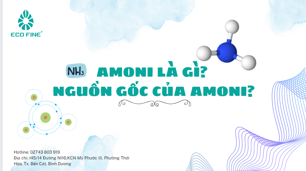 Amoni là gì? Nguồn gốc của Amoni?