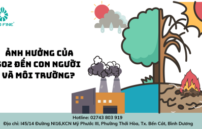 Khí SO2 là gì? Ảnh hưởng của SO2 đến con người và môi trường?