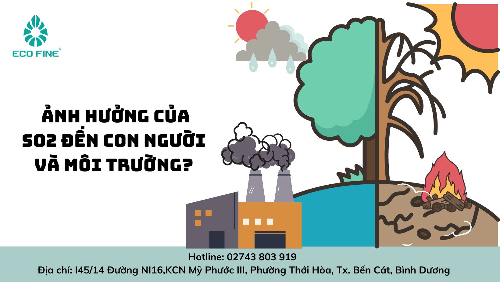 Khí SO2 là gì? Ảnh hưởng của SO2 đến con người và môi trường?