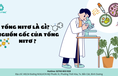 Tổng Nitơ là gì? Nguồn gốc của Tổng Nitơ