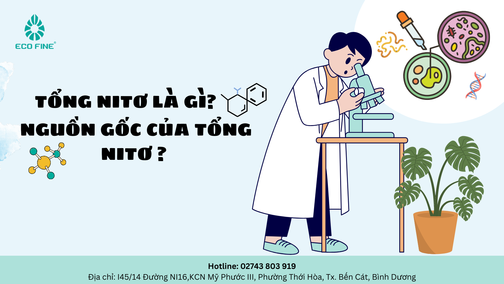 Tổng Nitơ là gì? Nguồn gốc của Tổng Nitơ