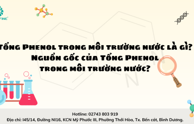 Tổng Phenol trong môi trường nước là gì? Nguồn gốc của Tổng Phenol trong môi trường nước?