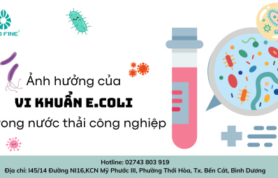 Ảnh hưởng của vi khuẩn E.Coli trong nước thải công nghiệp