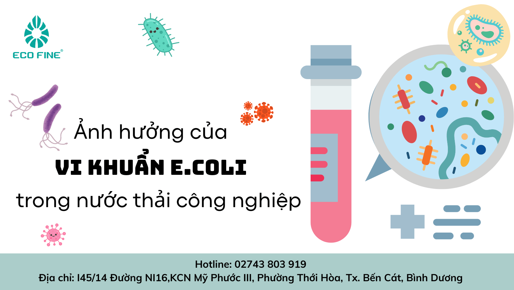 Ảnh hưởng của vi khuẩn E.Coli trong nước thải công nghiệp